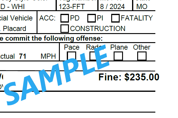 Sample citation box with a dollar amount — can be paid online